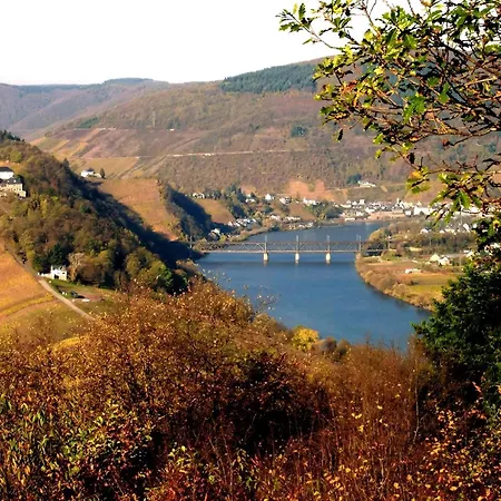 Indigo شقة بولاي